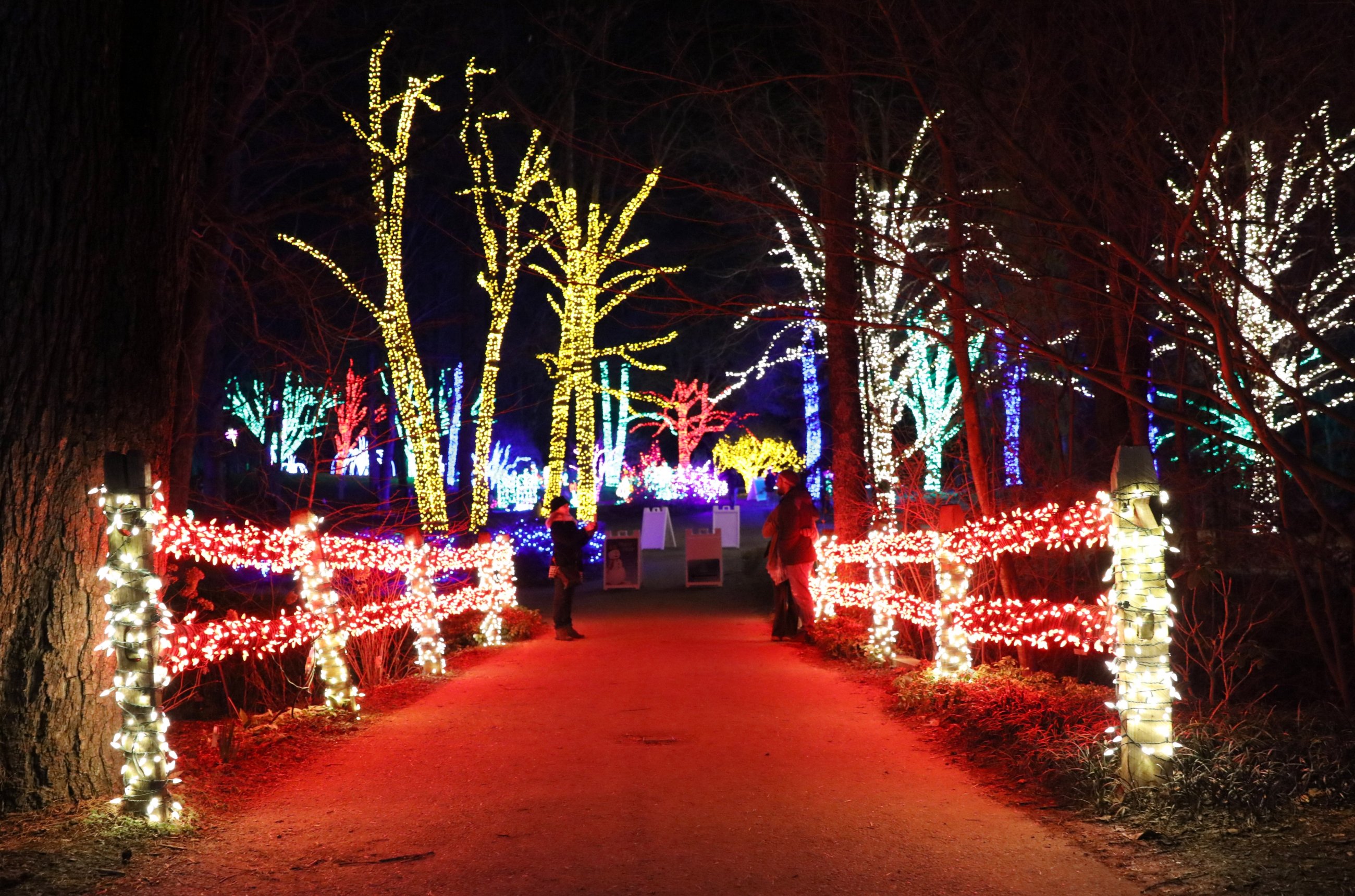 A Regional Favorite Meadowlark's Winter Walk of Lights Nova Parks